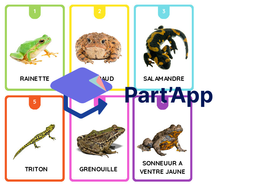 jeu des 7 familles, classification animale_4