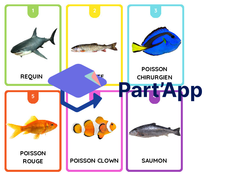 jeu des 7 familles, classification animale_5