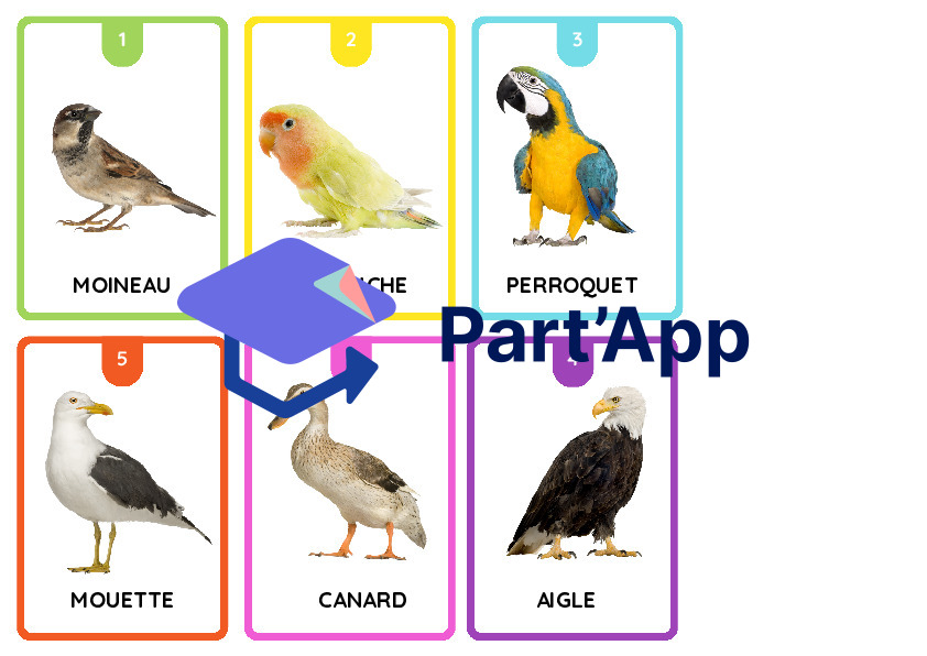 jeu des 7 familles, classification animale_6