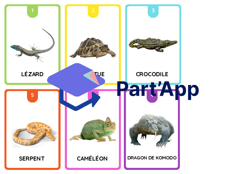 jeu des 7 familles, classification animale_7