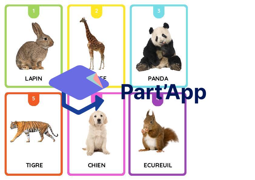 jeu des 7 familles, classification animale_8
