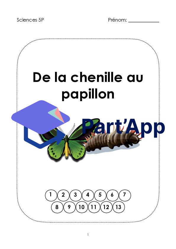 Le papillon_2