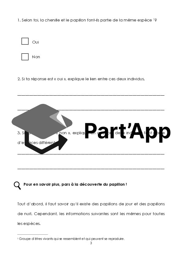 Le papillon_4