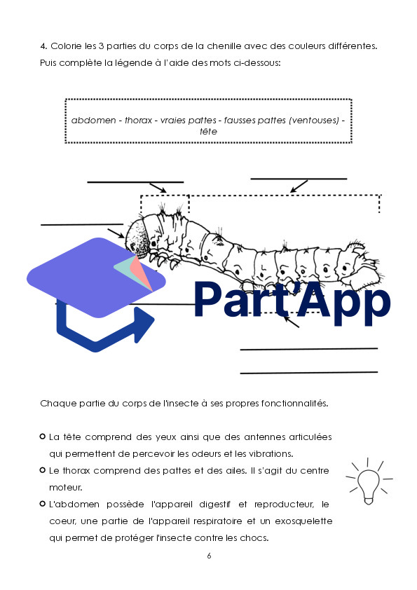 Le papillon_7