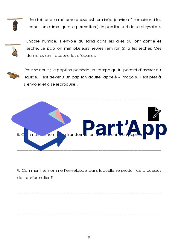 Le papillon_10