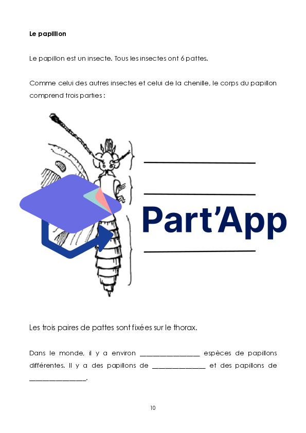 Le papillon_11