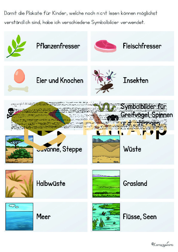 Plakate: Sachwissen Afrikanische Tiere für den Kindergarten (Poster)_52