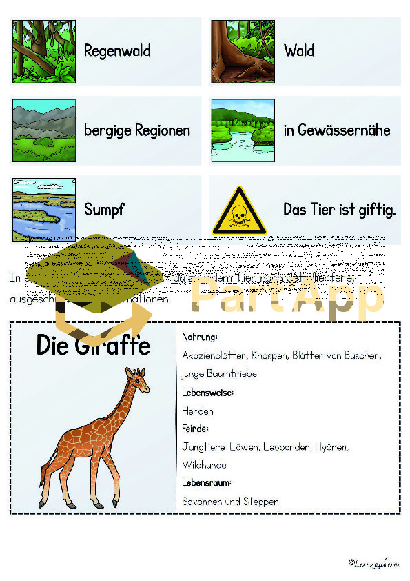 Plakate: Sachwissen Afrikanische Tiere für den Kindergarten (Poster)_53