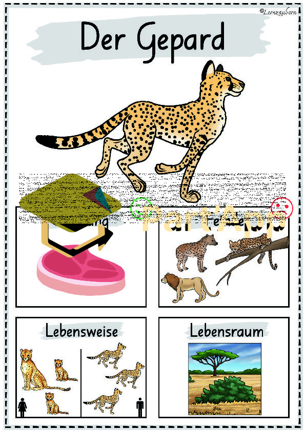 Plakate: Sachwissen Afrikanische Tiere für den Kindergarten (Poster)_57