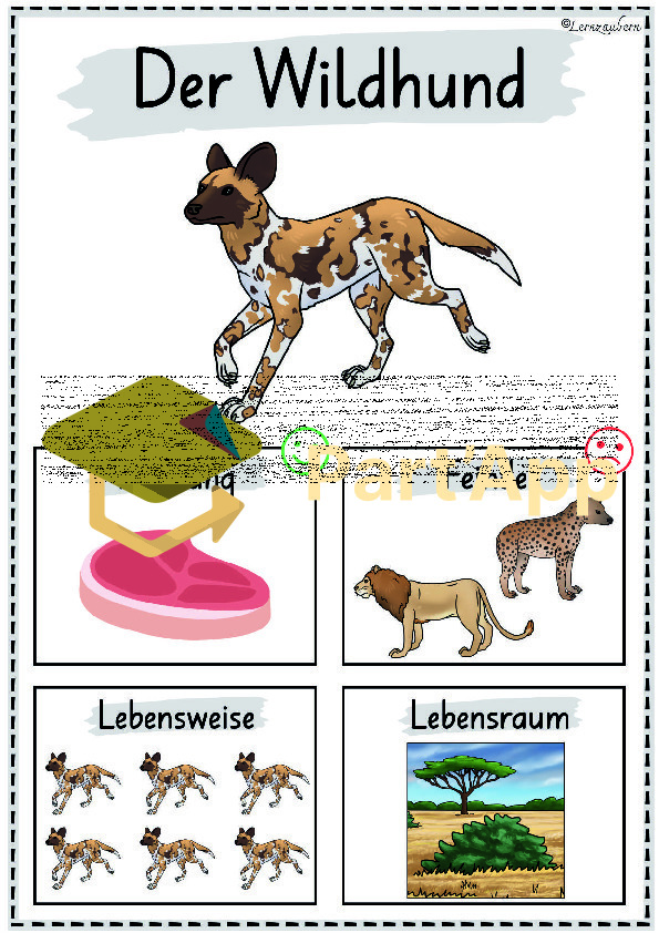 Plakate: Sachwissen Afrikanische Tiere für den Kindergarten (Poster)_59