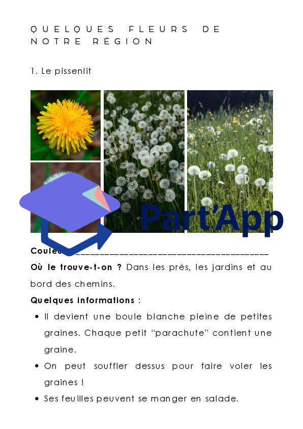 Dossier Les fleurs_6