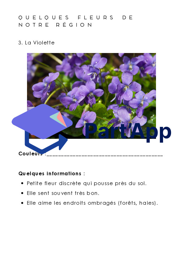 Dossier Les fleurs_8