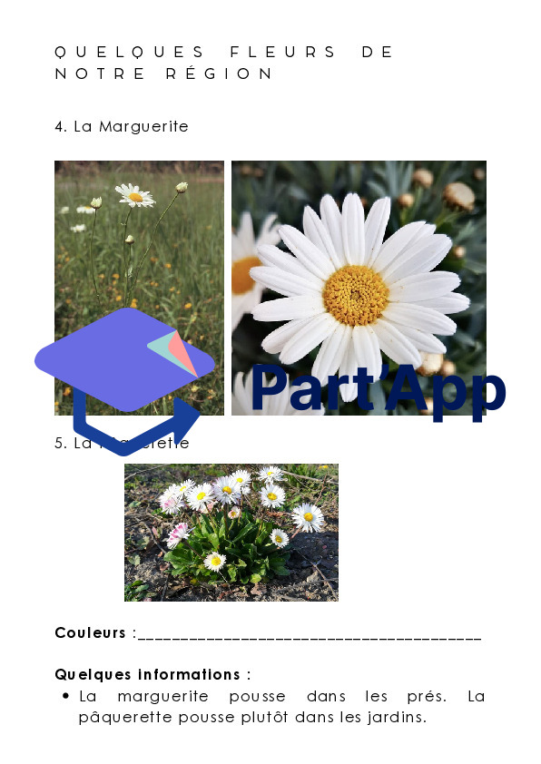 Dossier Les fleurs_9