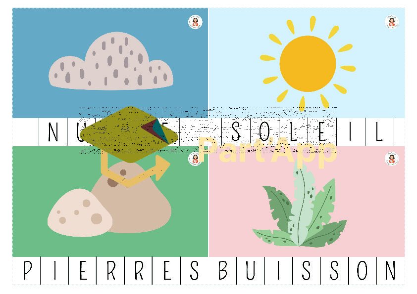 17. 🦕 Cartes à Pince Mots — Les Dinos 2026_131