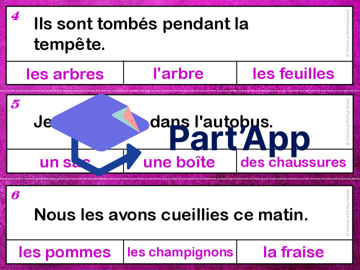 Devinettes orthographiques - 33 cartes à pinces_3
