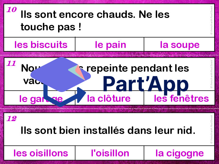 Devinettes orthographiques - 33 cartes à pinces_5