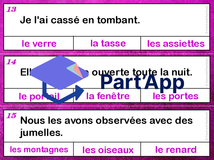 Devinettes orthographiques - 33 cartes à pinces_6