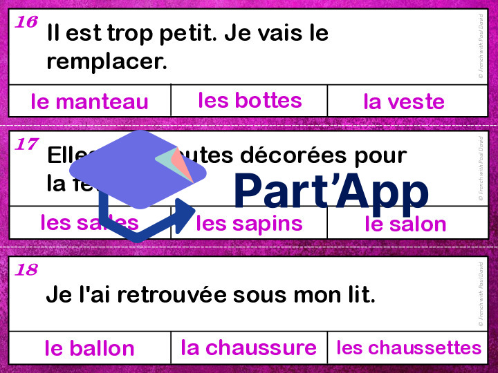 Devinettes orthographiques - 33 cartes à pinces_7