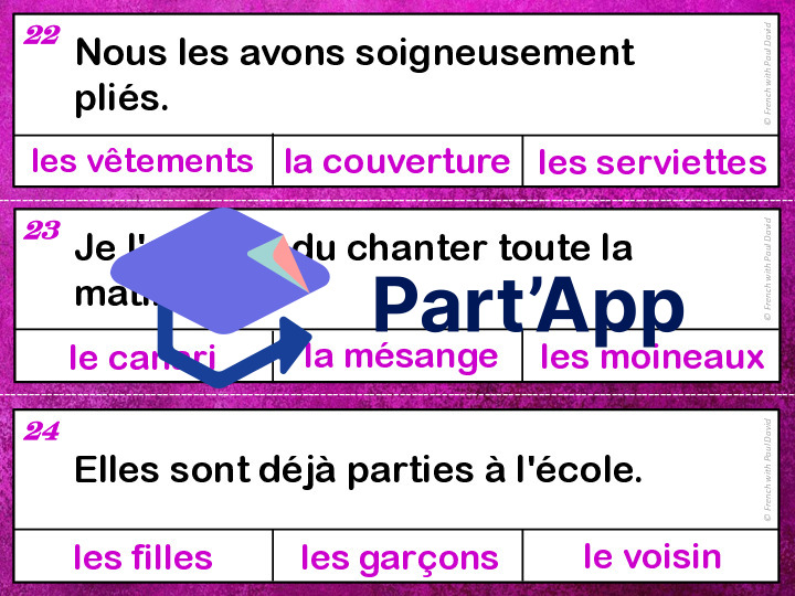 Devinettes orthographiques - 33 cartes à pinces_9