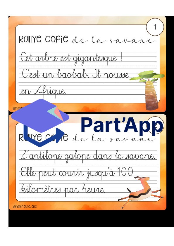Rallye copie de la savane_2