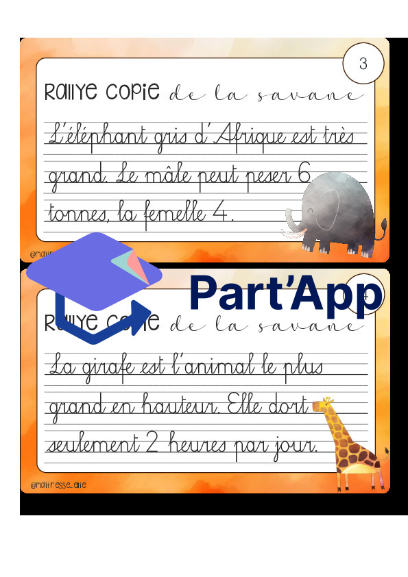 Rallye copie de la savane_4