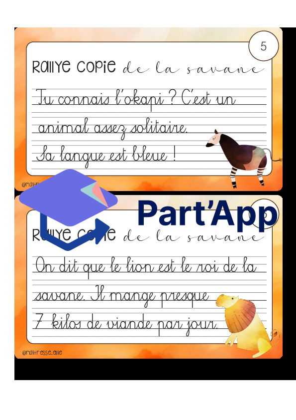 Rallye copie de la savane_6