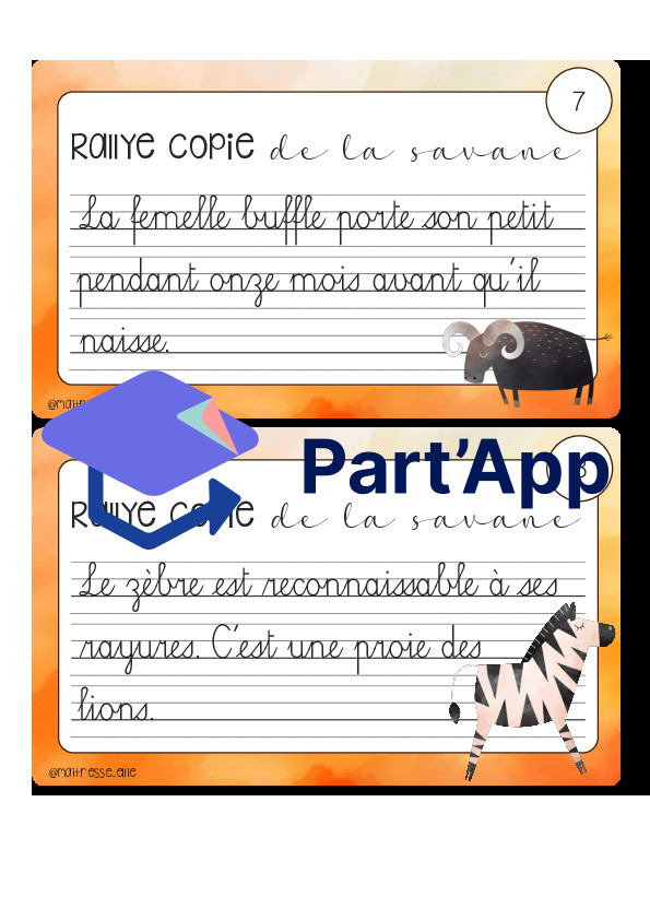 Rallye copie de la savane_8