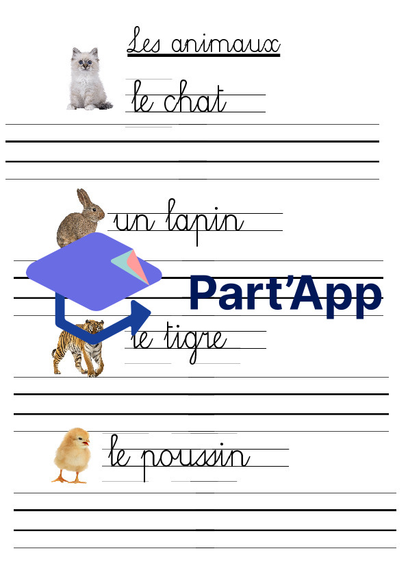 Lettres spéciales_4