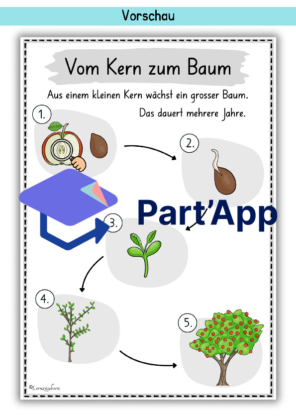 Plakate: Sachwissen und Wortschatz zum Apfel_48