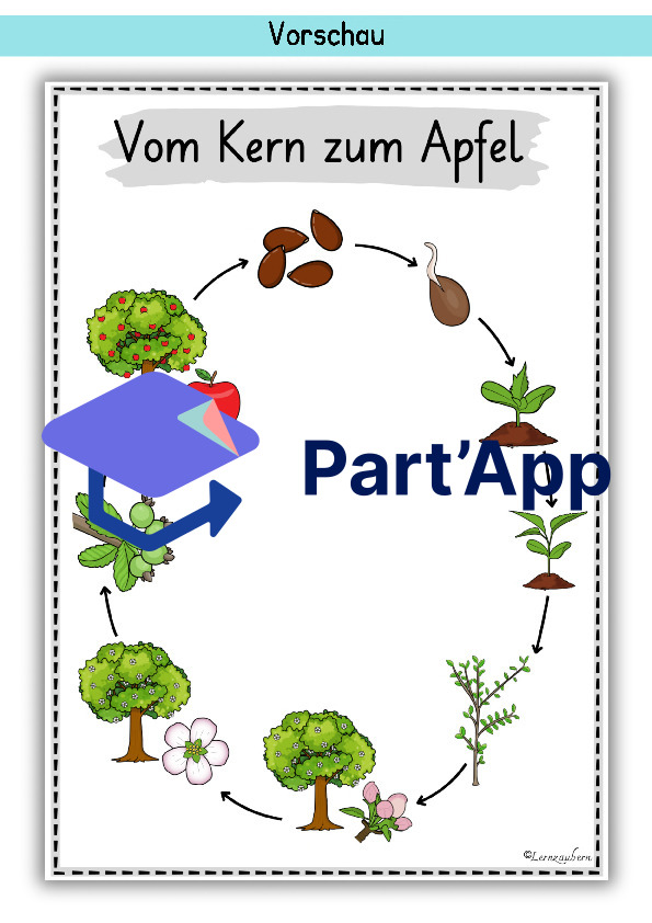 Plakate: Sachwissen und Wortschatz zum Apfel_50