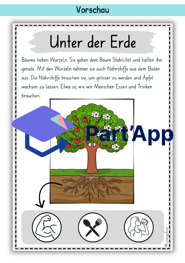 Plakate: Sachwissen und Wortschatz zum Apfel_51