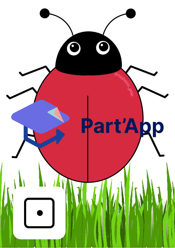 Atelier coccinelle_3
