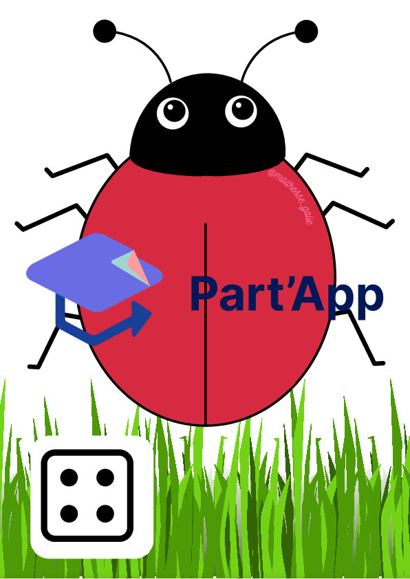 Atelier coccinelle_6