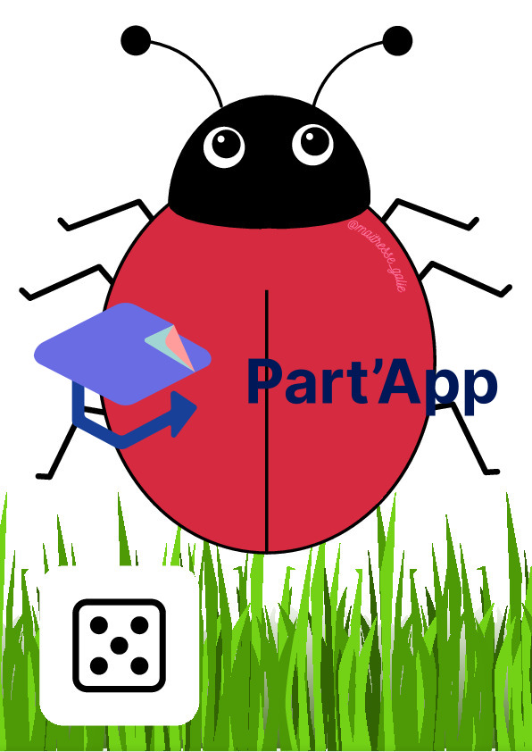 Atelier coccinelle_7