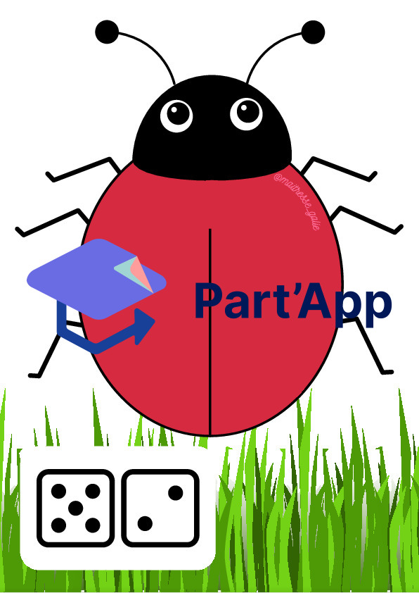 Atelier coccinelle_9