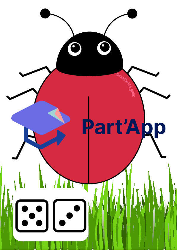 Atelier coccinelle_10