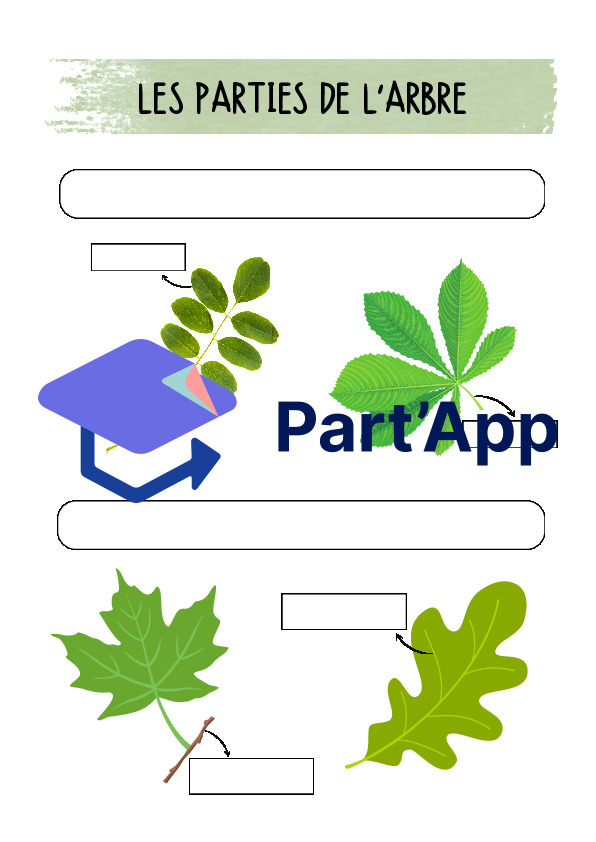 Dossier arbres - Forêt - Saisons_4