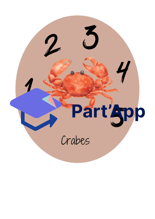 Marin - Formation de groupes_3