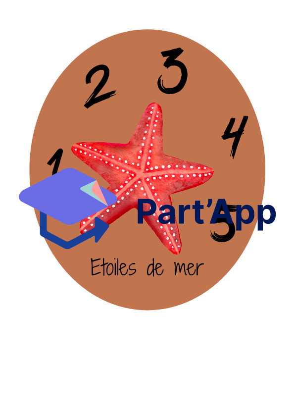 Marin - Formation de groupes_4