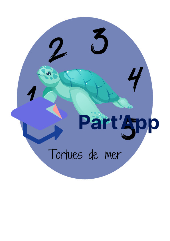 Marin - Formation de groupes_5