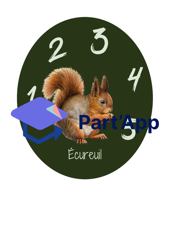 Forêt - formation de groupes_14