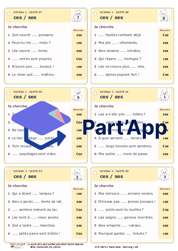🐾 Mes ateliers autocorrectifs ces / ses – 2 niveaux | 4 CHF 🐾_4