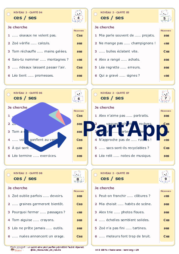🐾 Mes ateliers autocorrectifs ces / ses – 2 niveaux | 4 CHF 🐾_6