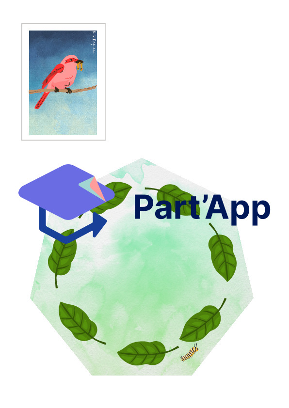 chenille.chrysalide.papillon._4