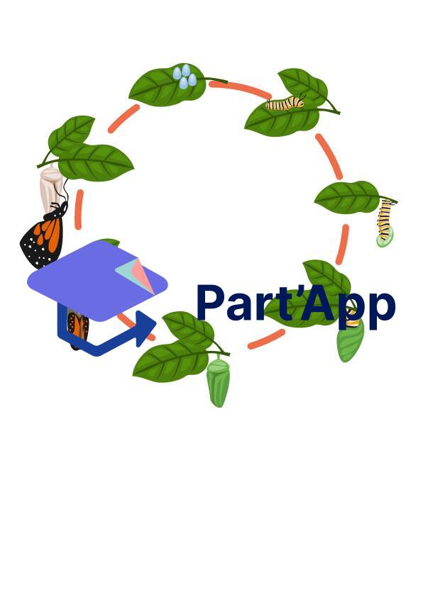 chenille.chrysalide.papillon._8