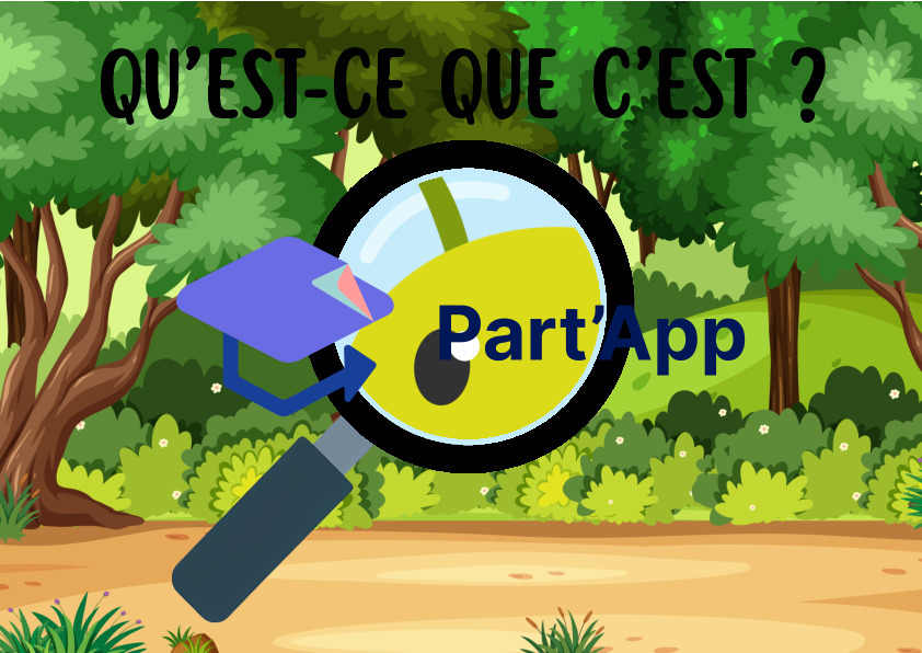 JEU DE CARTES FLASHCARDS "QU'EST-CE QUE C'EST ?" - THÈME DE LA FORET_3