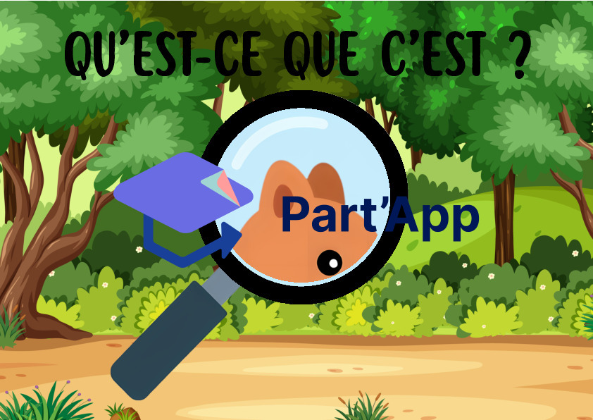 JEU DE CARTES FLASHCARDS "QU'EST-CE QUE C'EST ?" - THÈME DE LA FORET_4