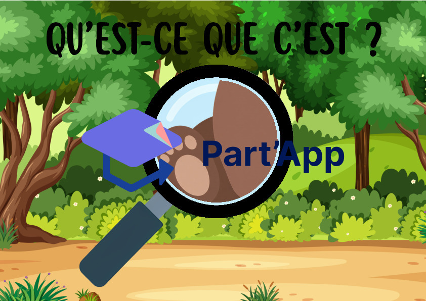 JEU DE CARTES FLASHCARDS "QU'EST-CE QUE C'EST ?" - THÈME DE LA FORET_5