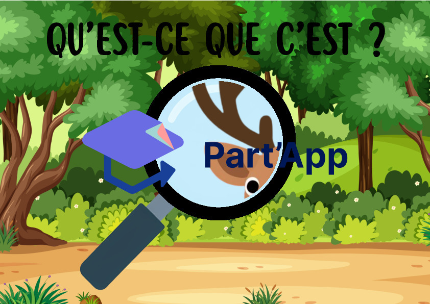 JEU DE CARTES FLASHCARDS "QU'EST-CE QUE C'EST ?" - THÈME DE LA FORET_6