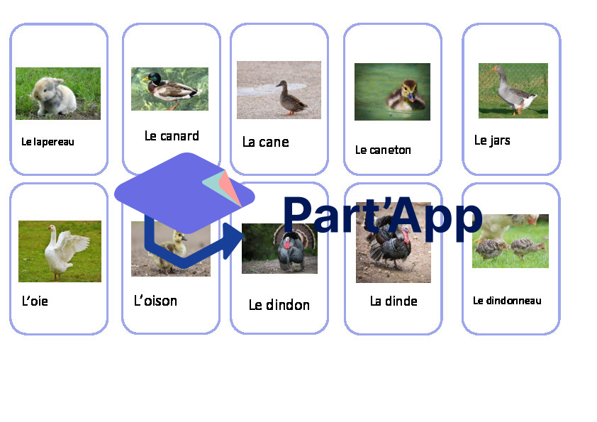 Concept Kids Ferme_7